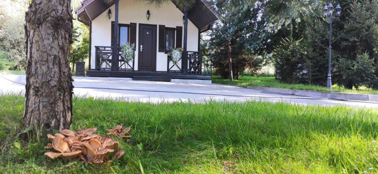Park-Hotel Kidev Chubynske Exterior foto